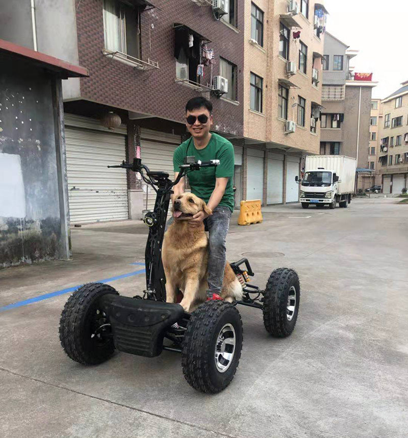 All-Terrain 4WD E-Scooter Foldable ATV 6000W