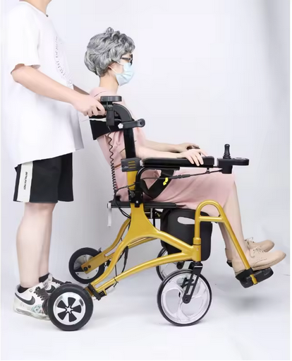CarbonRide: Multifunctional Electric Walker Rollator